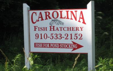 Carolina Fish Hatchery Sign